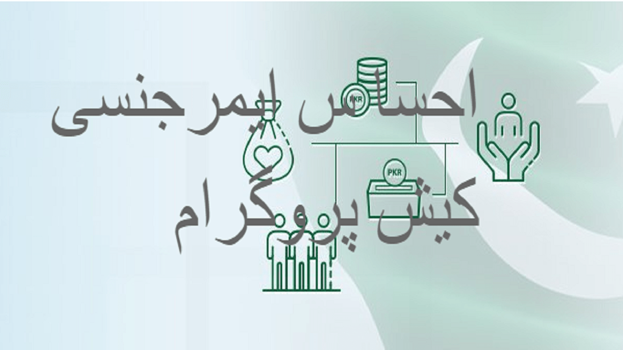 ehsaas emergency program check balance
