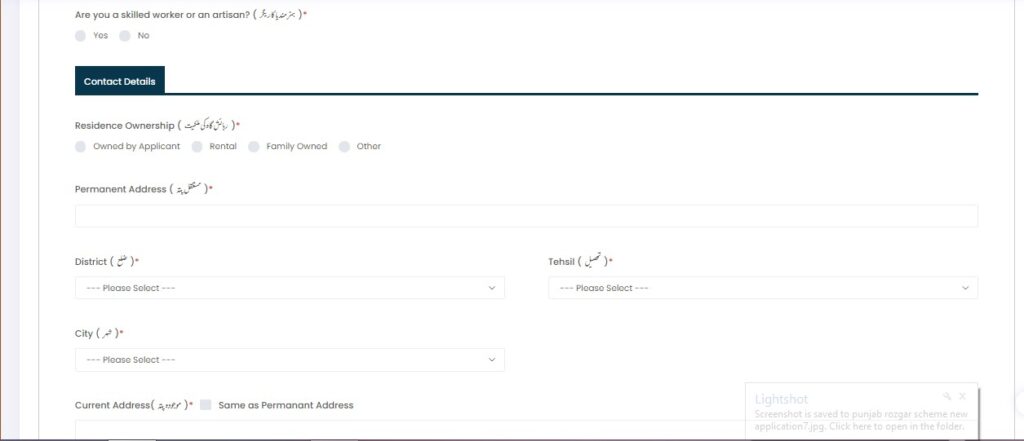 punjab rozgar scheme new application8