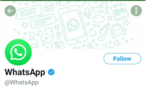 whatsapp official twitter account image