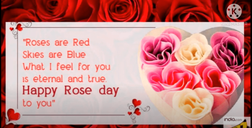 Happy Rose Day 2021 Status Video Download