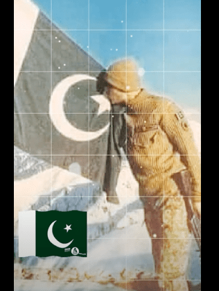 23rd March Pakistan Day Status Download Free