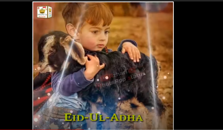 New Bakreid Status / Eid Ul adha WhatsApp status Download