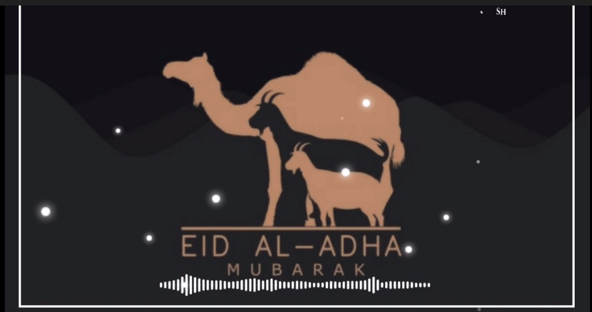 NEW TRENDING Eid ul Adha Mubarak Status Video Download