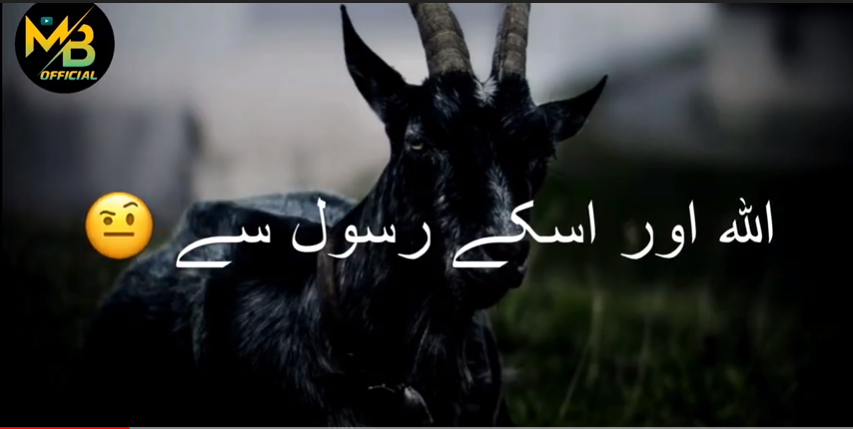 Qurbani Bayan Status Video Download