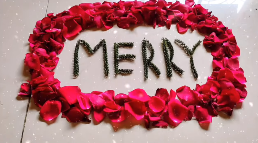 Beautiful Rose For Christmas Status Video Download