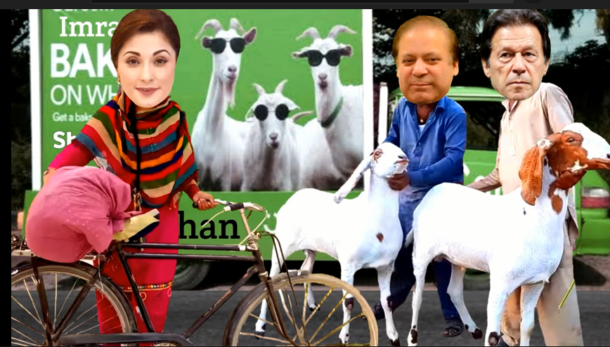 Imran Khan Bakra Eid 2022 Funny Status Video Download