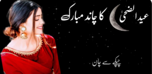Eid ul Adha special chand status || Eid ul Adha tik to poetry || chand Raat Mubarak status 2022 download free 2022