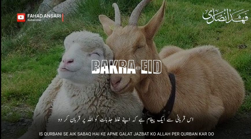Bakrid Molana Tariq Jamil Beautiful Islamic Status Video