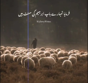 Eid Ul Adha full-Screen Status Video Download