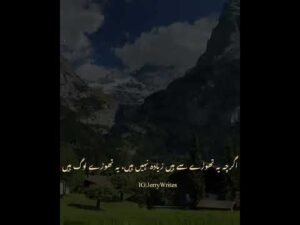 Eid Ul Adha Beautiful Iines Full-Screen Status Video Download