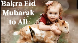 New 2022 Eid UL Azha Mubarak Status Video Download