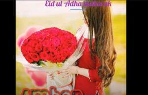 Eid ul Adha girls name dpz//eid ul azha Mubarak girls name DP for WhatsApp status video download free