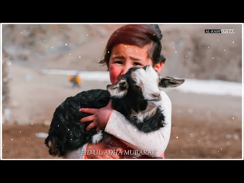 Trending Bakra Eid Whatsapp Status 2022 Download