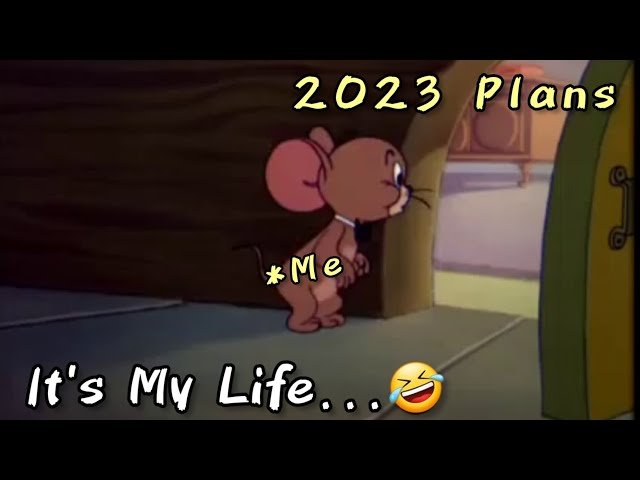 Funny 2023 New Year Status Video for Whatsapp
