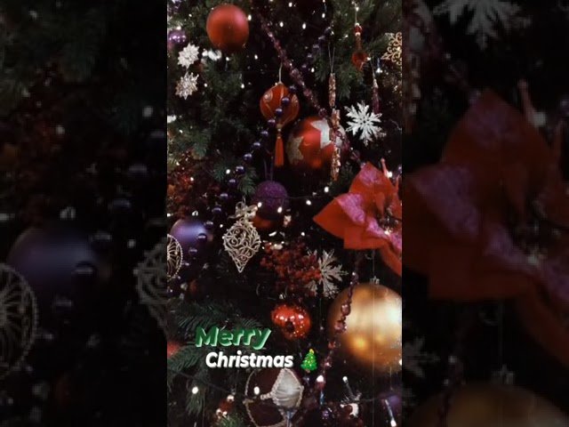 Merry Christmas status 2022 Status Video Download