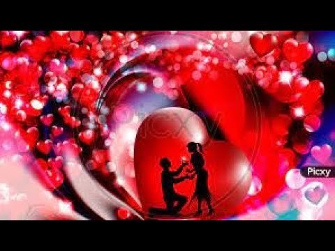 Valentines Day 2023 Status Video For Whatsapp