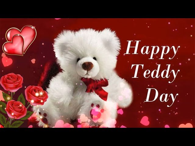 Happy Teddy Day 2023 Beautiful Status Video
